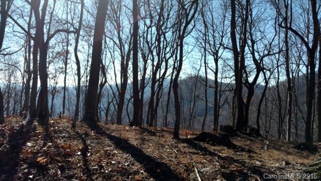 1122 Miller Mountain Road Saluda, NC 28773 - Photo 4 of 5 Gallery Image 4