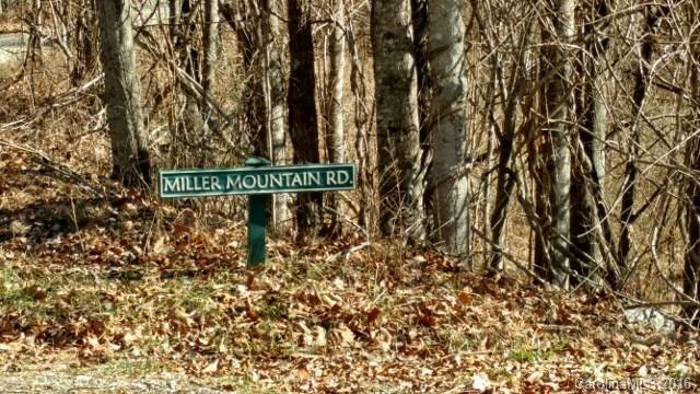 1122 Miller Mountain Road Saluda, NC 28773 - Photo 5 of 5 Gallery Image 5