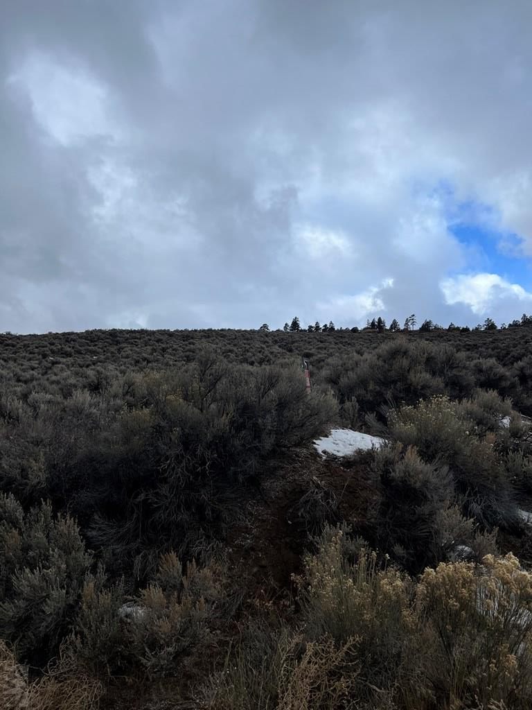 232 Th Fort Fort Garland, CO 81133 - Photo 3 of 15
