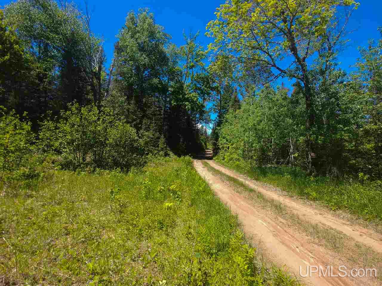 80-acres County Rd FFH Ishpeming, MI 49849 - Photo 11 of 28