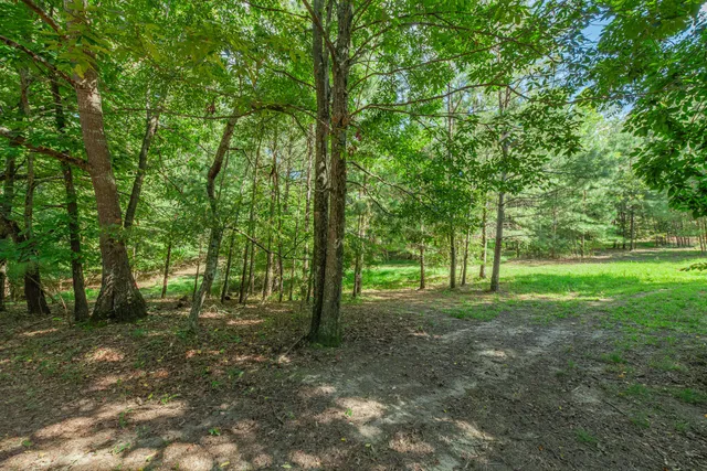 a view of outdoor space with trees