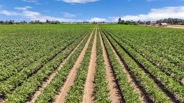 a view of a multi story window