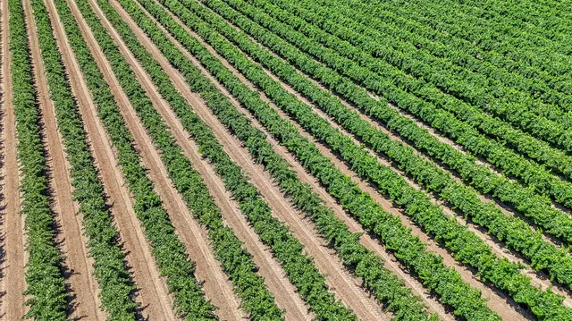 $425,000 | 0 South Road 28, Madera, CA 93638