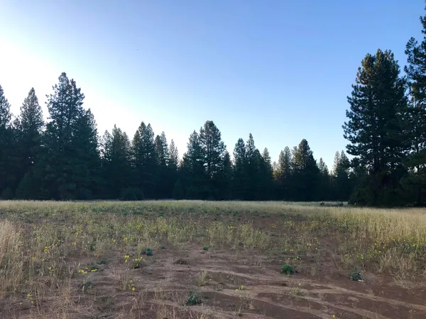 $225,000 | Black Ranch Road, Burney, CA 96013