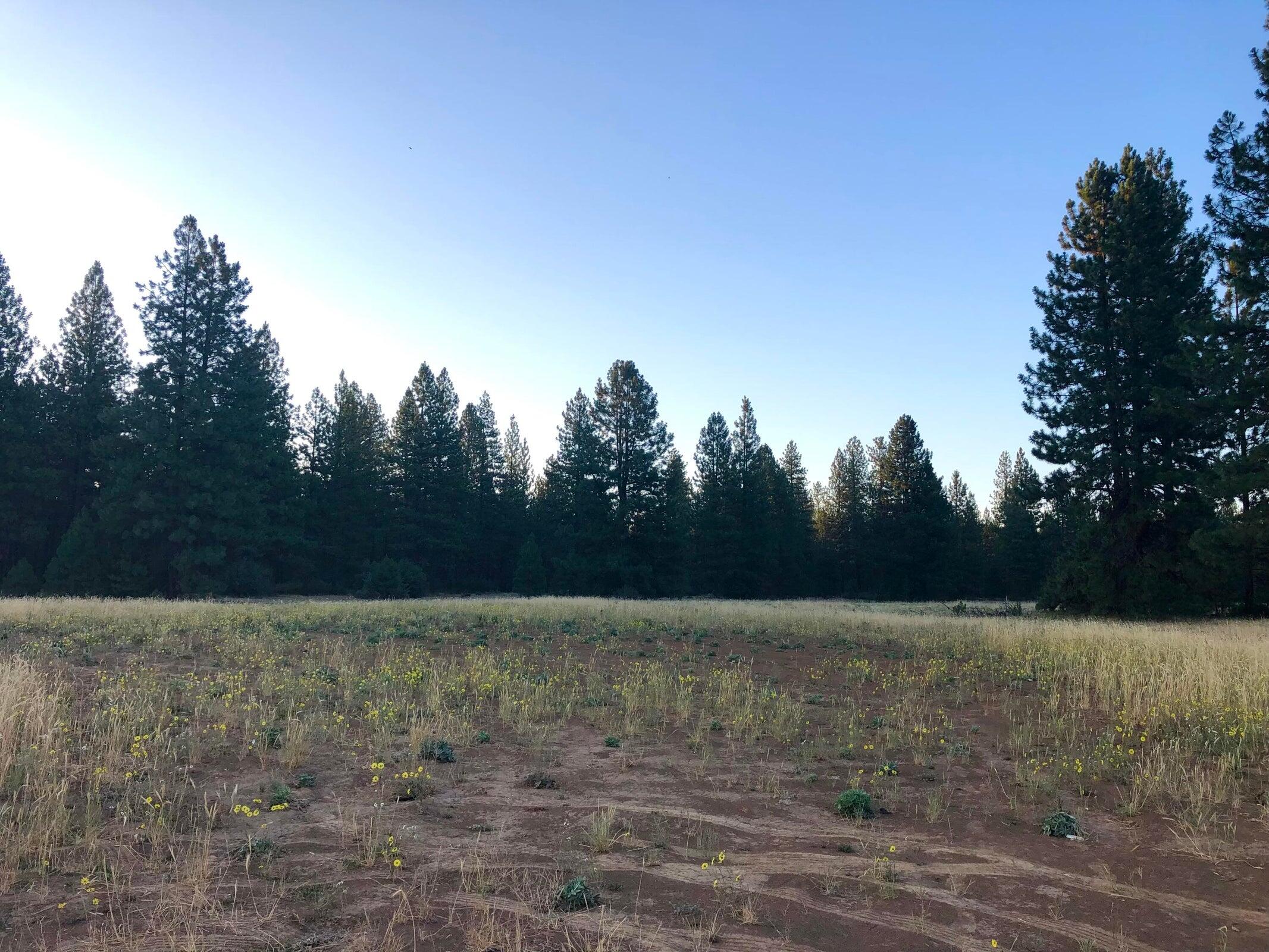 Black Ranch Rd