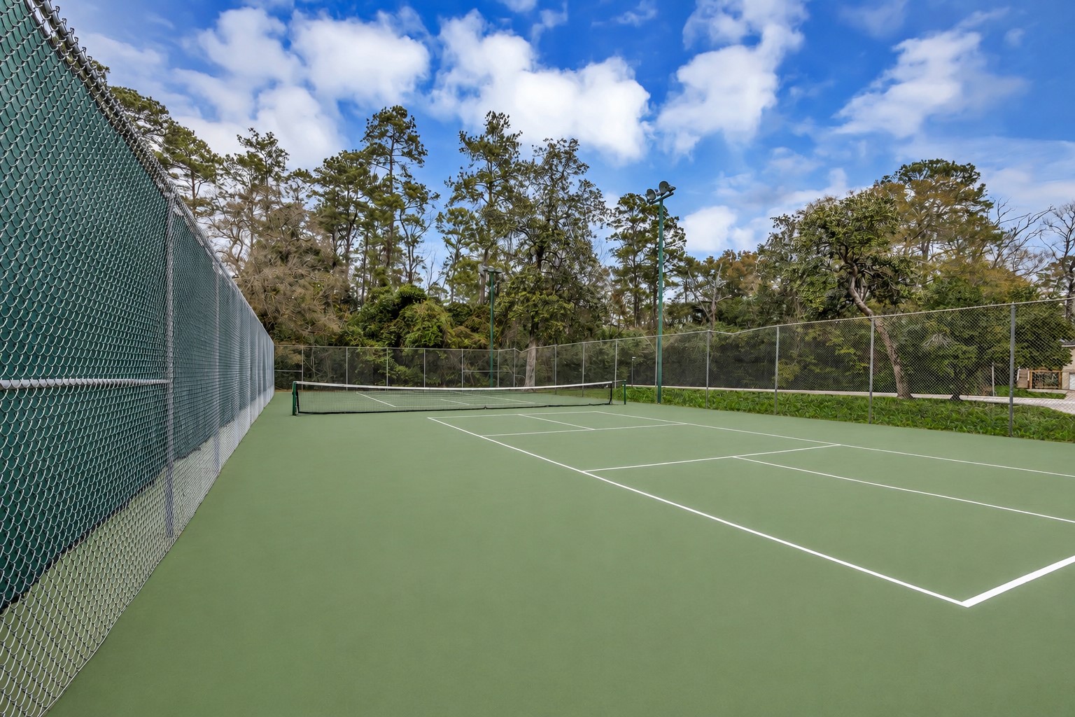 629 Spring Forest Drive Conroe, TX 77302 - Photo 37 of 39 Pickleball courts