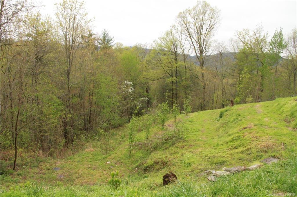 700 Sapling Mountain Road Marshall, NC 28753 - Photo 14 of 23 Gallery Image 14
