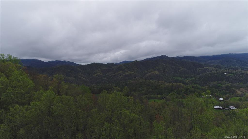 700 Sapling Mountain Road Marshall, NC 28753 - Photo 22 of 23 Gallery Image 22