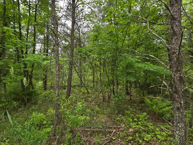 $64,900 | 10-acres 10-acres 25th, Necedah, WI 54646