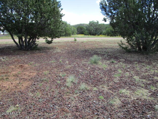 53 County Road, Unit 3203 Vernon, AZ 85940 - Photo 38 of 47 Front yard