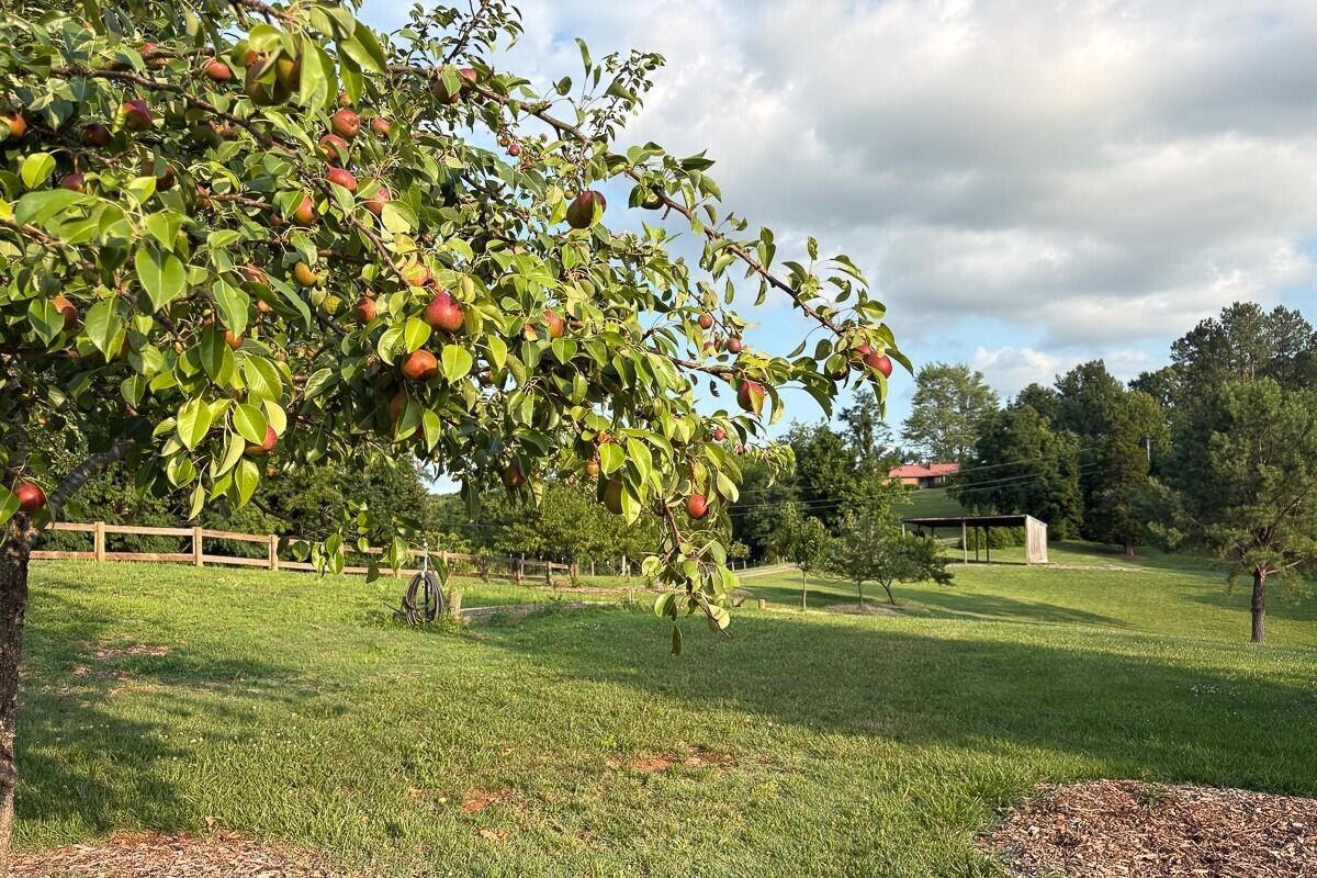 1125 Loyds Store Road Vinton, VA 24179 - Photo 2 of 119 2