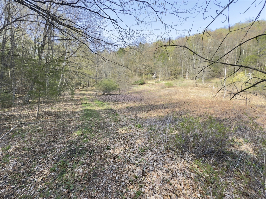 a view of dirt yard with a trees