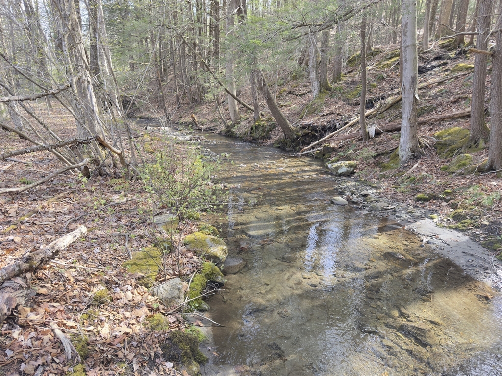 138 East Buckland Road Buckland, MA 01370 - Photo 2 of 11 a backyard of a building