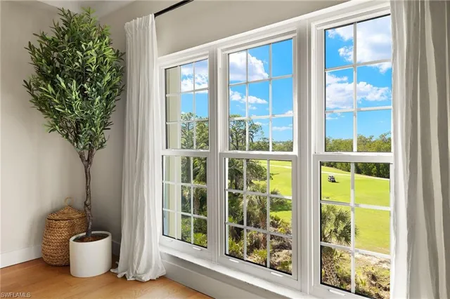 a view of a potted plant in front of a glass door
