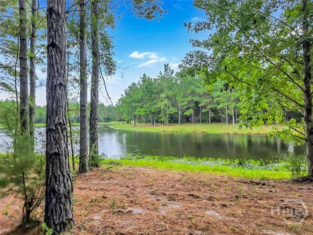 $20,000 | 0 Sydney Trace, Waverly, GA 31565