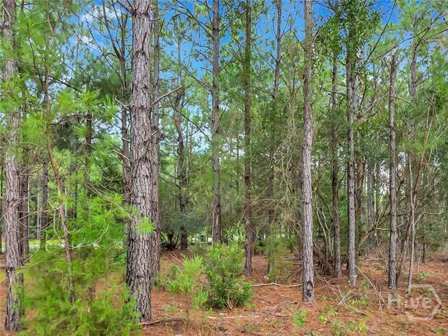 $20,000 | 0 Sydney Trace, Waverly, GA 31565