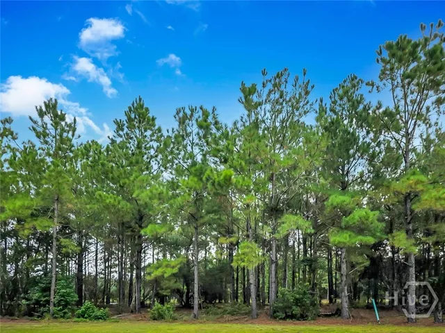 $20,000 | 0 Sydney Trace, Waverly, GA 31565