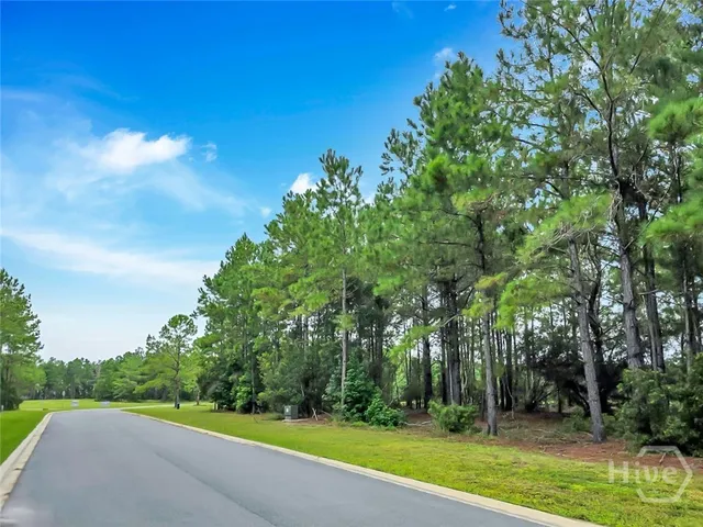 $20,000 | 0 Sydney Trace, Waverly, GA 31565