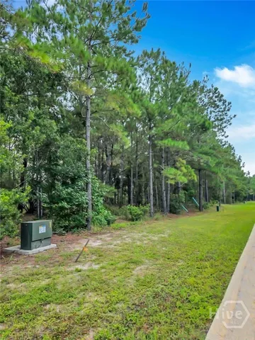 $20,000 | 0 Sydney Trace, Waverly, GA 31565