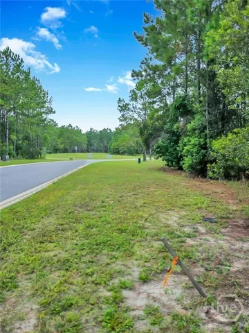 $20,000 | 0 Sydney Trace, Waverly, GA 31565