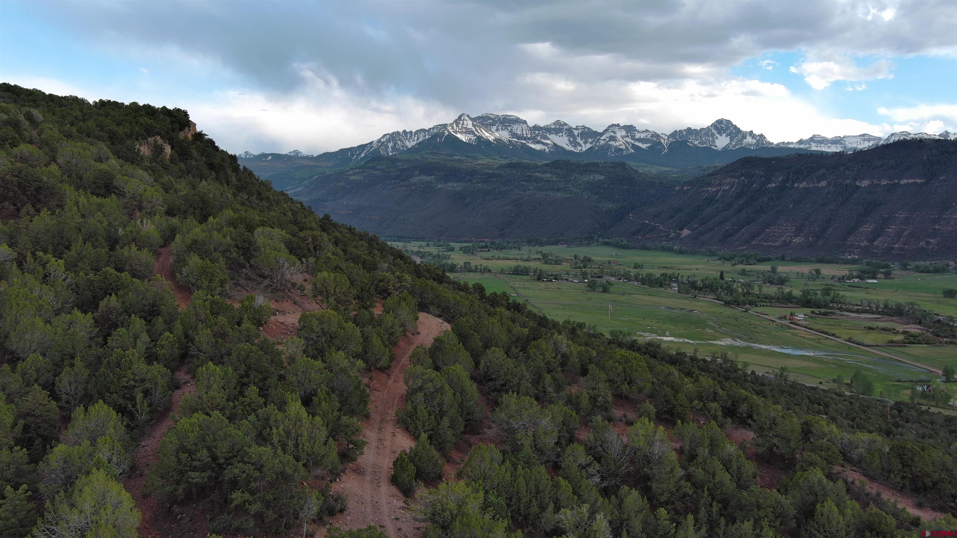 102 550th Highway Ridgway, CO 81432 - Photo 1 of 18 a view of a lush green hillside and a houses