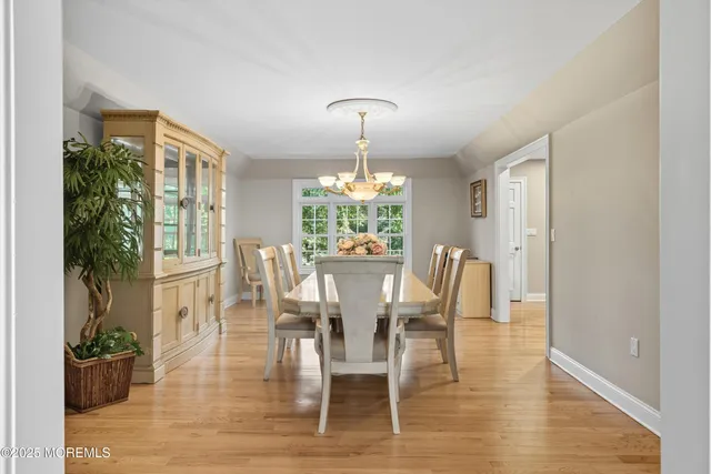 a dining room with furniture potted plants and wooden floor