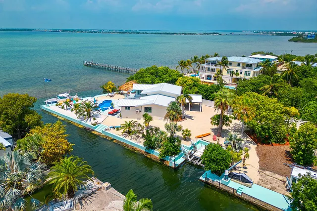 a view of a yard with plants