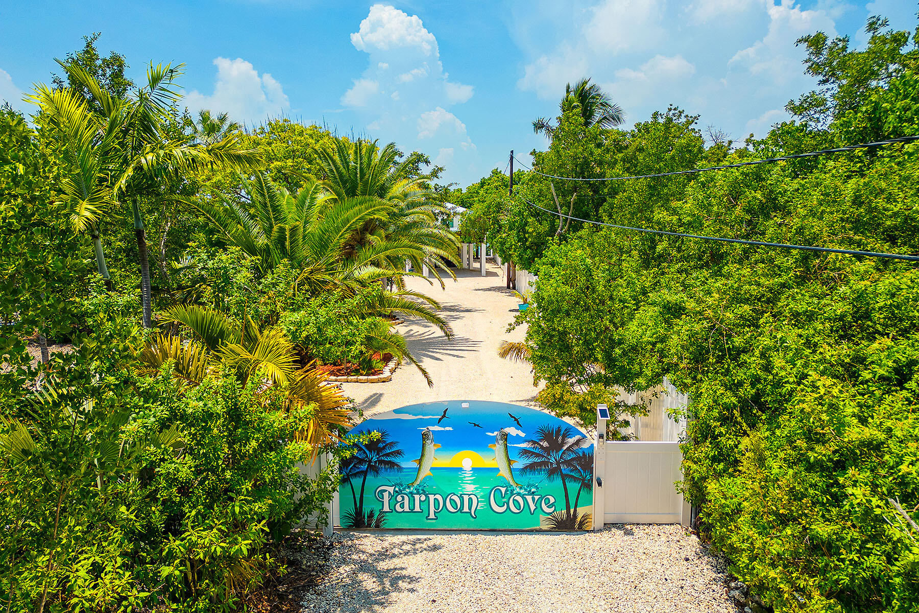 680 Elma Avenue Big Pine Key, FL 33043 - Photo 73 of 89 a picture of a tree