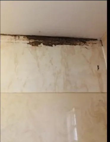 a room with a table and potted plants