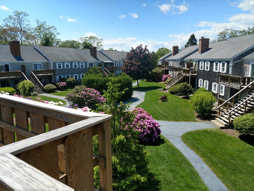 a view of a house with a yard and potted plants