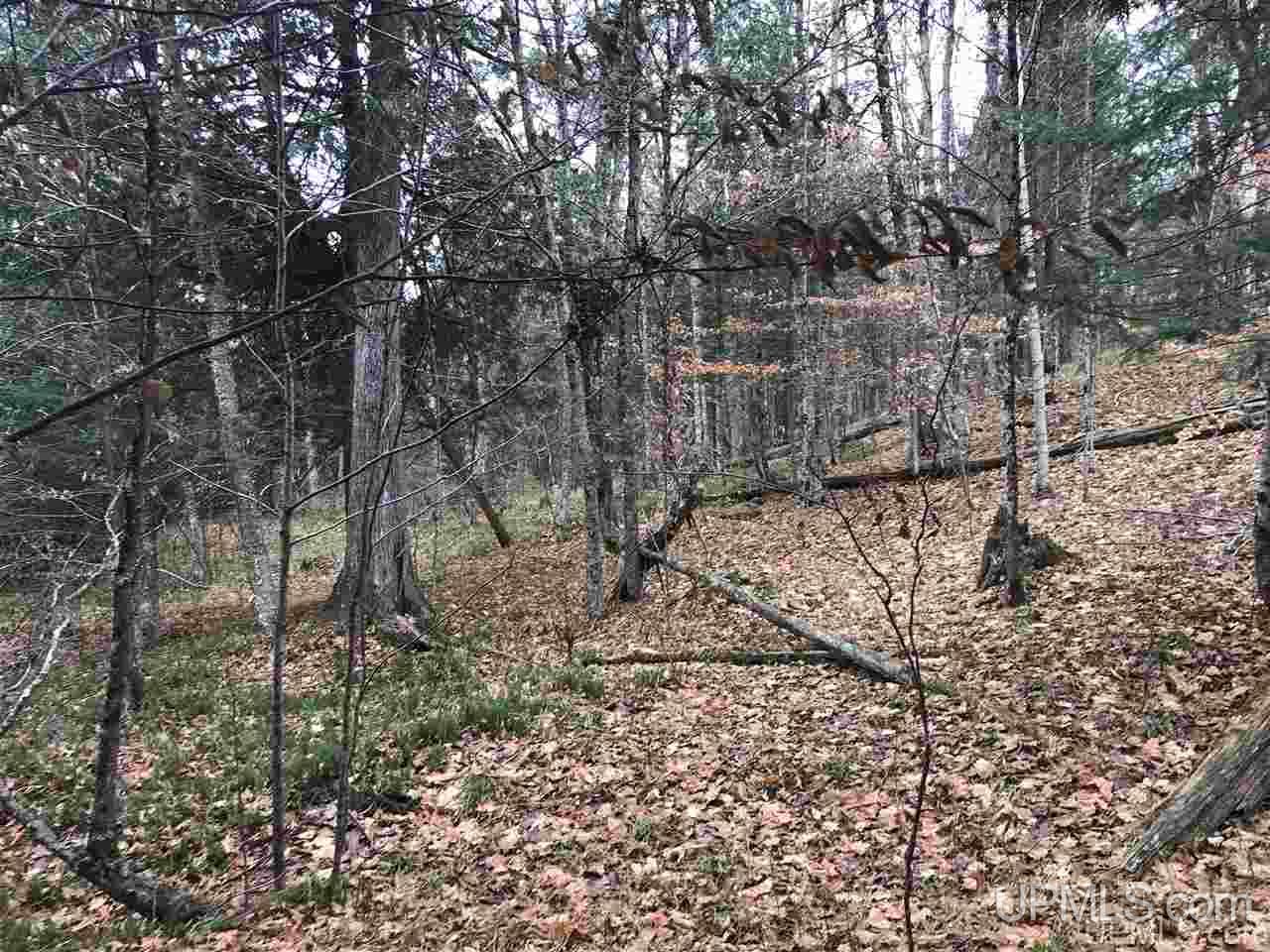 Tbd Off River Road, Unit 2 Hermansville, MI 49847 - Photo 25 of 34