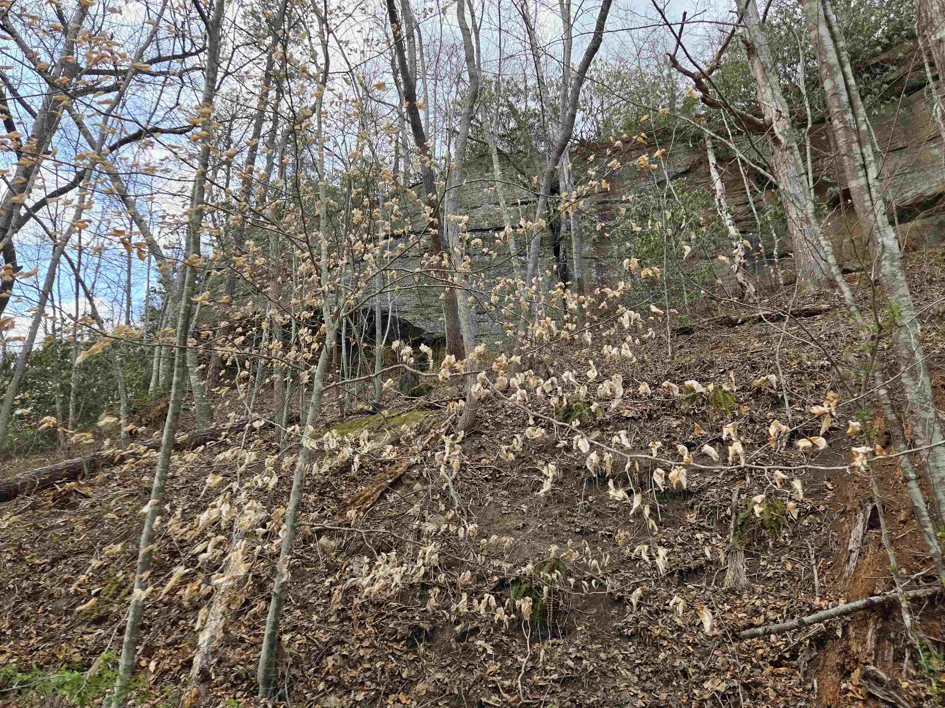 Kiser Fork Road Olive Hill, KY 41164 - Photo 18 of 46 Gallery Image 18
