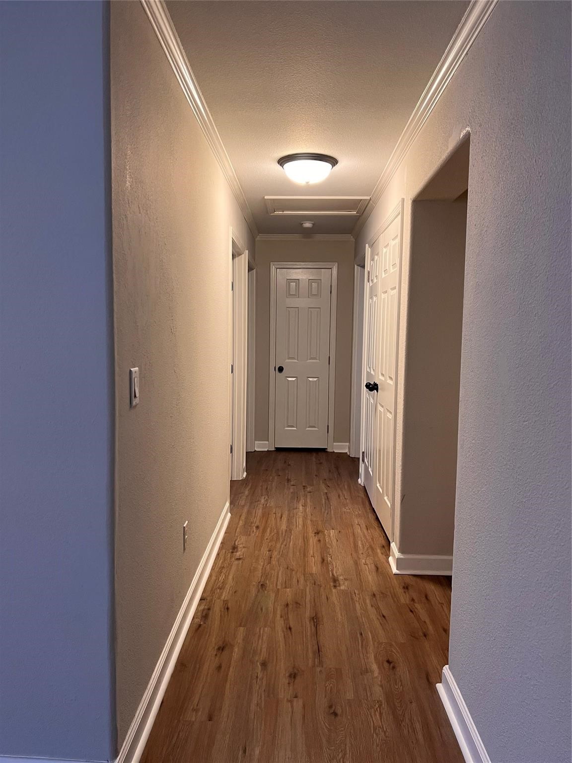 14203 East Ravine Run Willis, TX 77318 - Photo 3 of 7