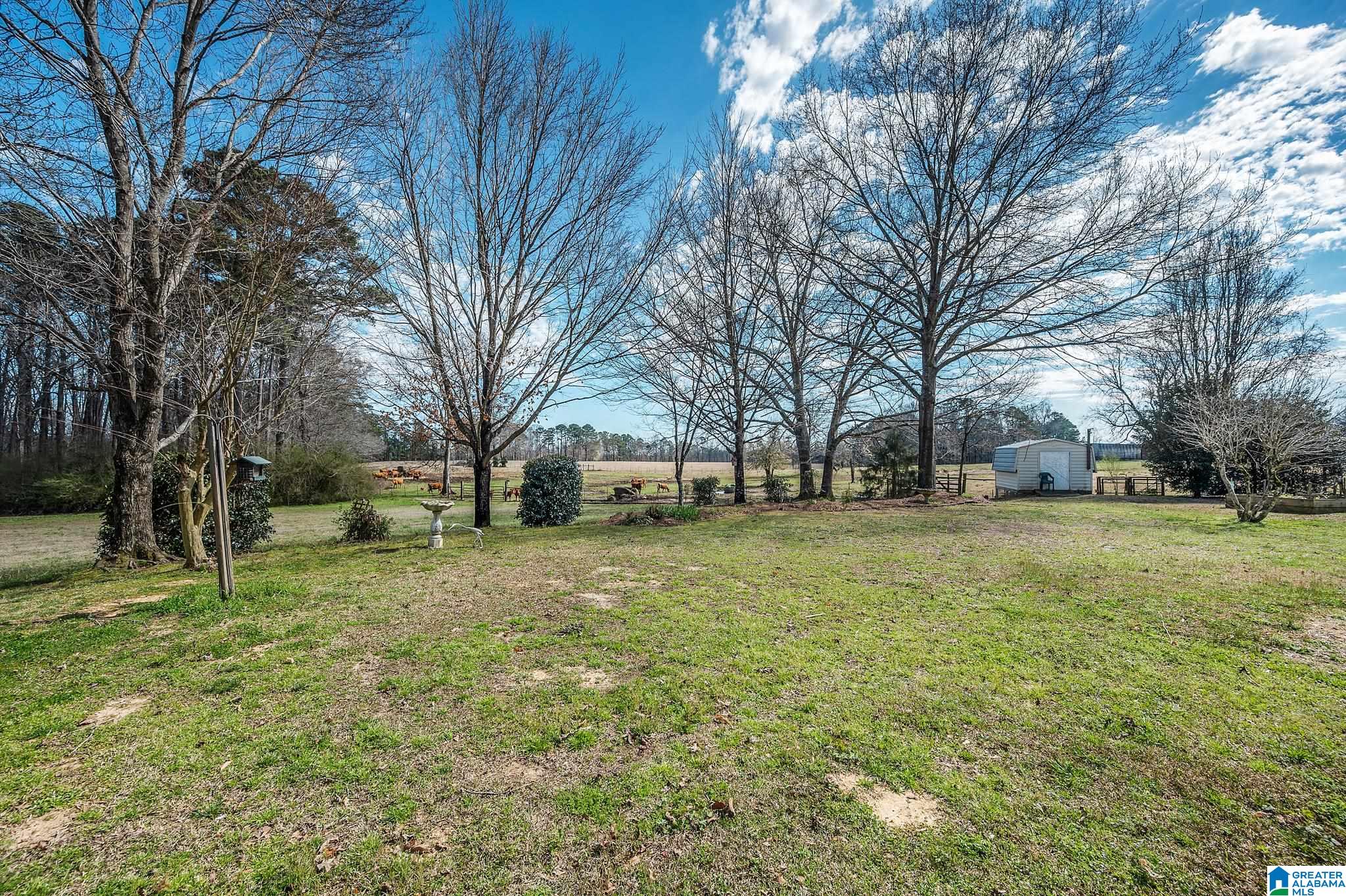 3821 Mt Olive Road Mount Olive, AL 35117 - Photo 11 of 40
