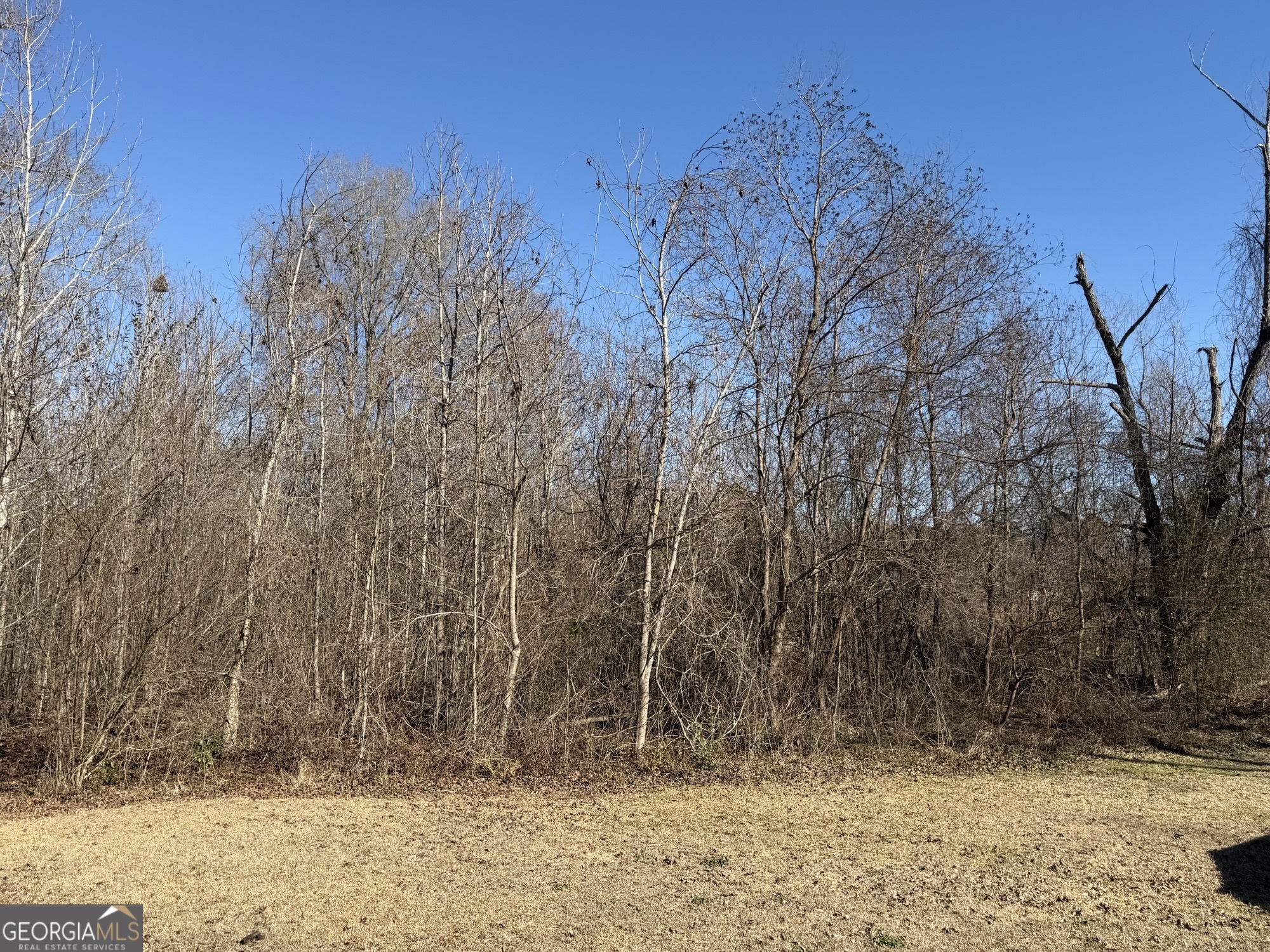 159 Jockey Lane Cochran, GA 31014 - Photo 38 of 41