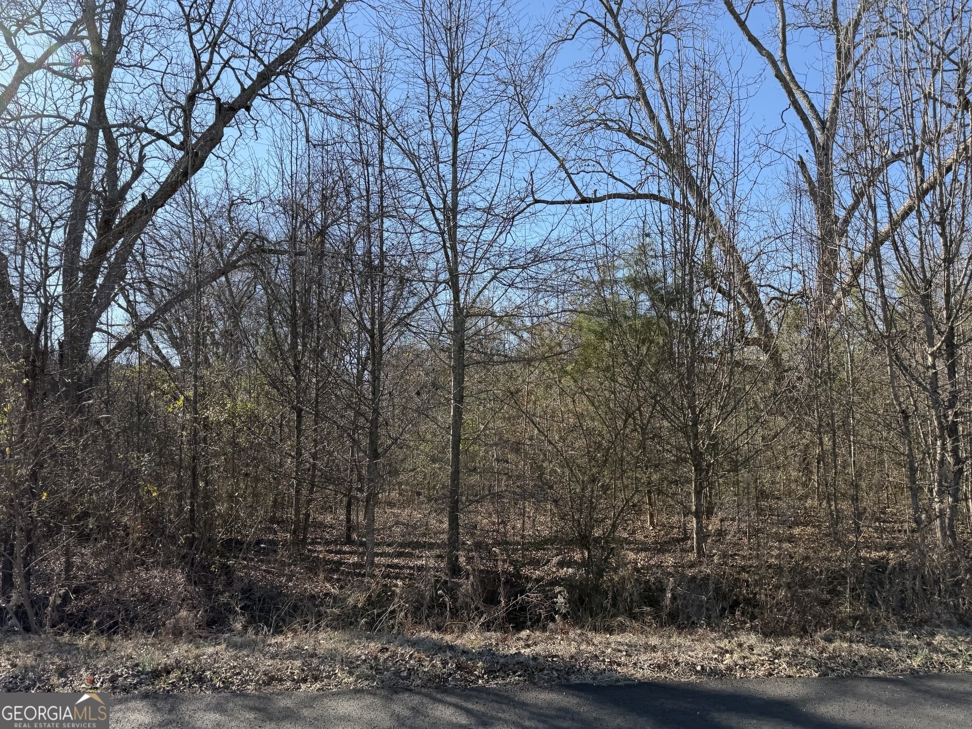 159 Jockey Lane Cochran, GA 31014 - Photo 41 of 41