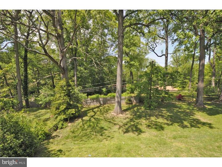 237 Hamilton Road Merion Station, PA 19066 - Photo 14 of 17 a view of yard with green space
