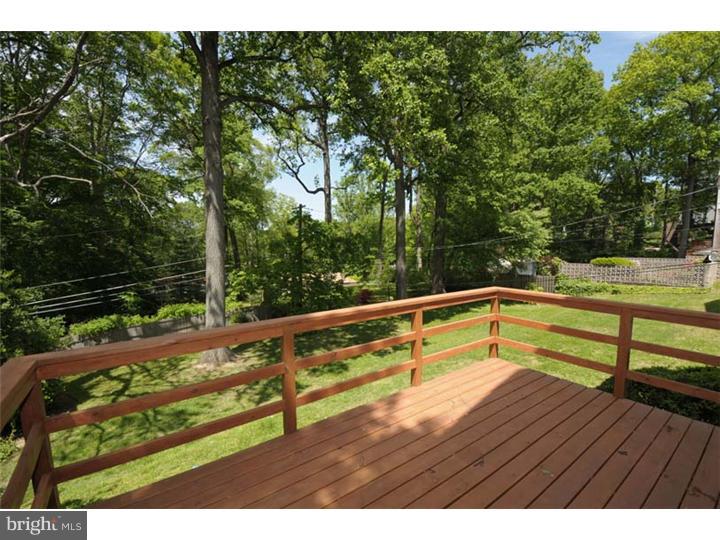 237 Hamilton Road Merion Station, PA 19066 - Photo 15 of 17 a view of deck with large trees