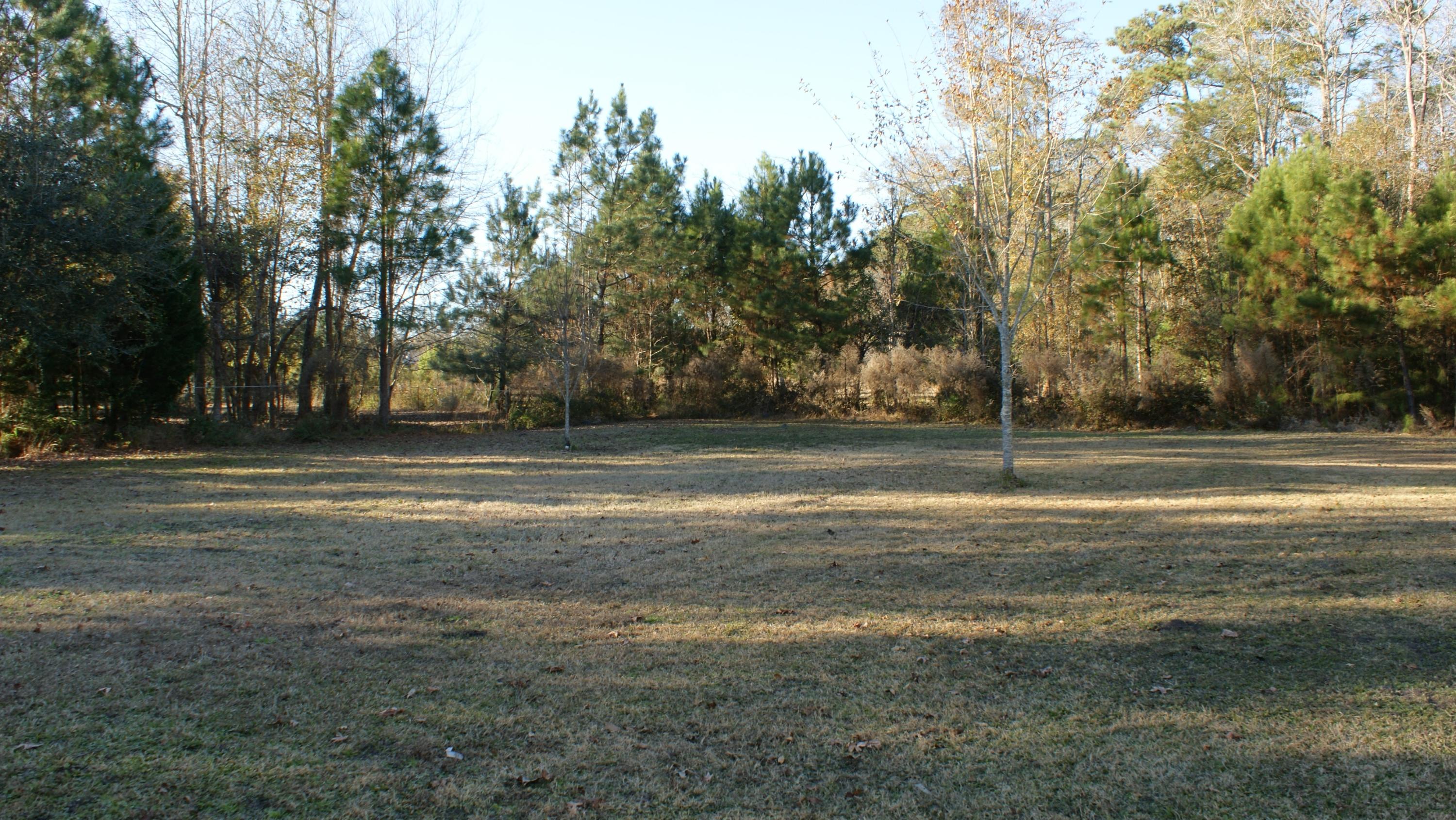 9890 State Rd S-10-1336 McClellanville, SC 29458 - Photo 7 of 35 DSC04831