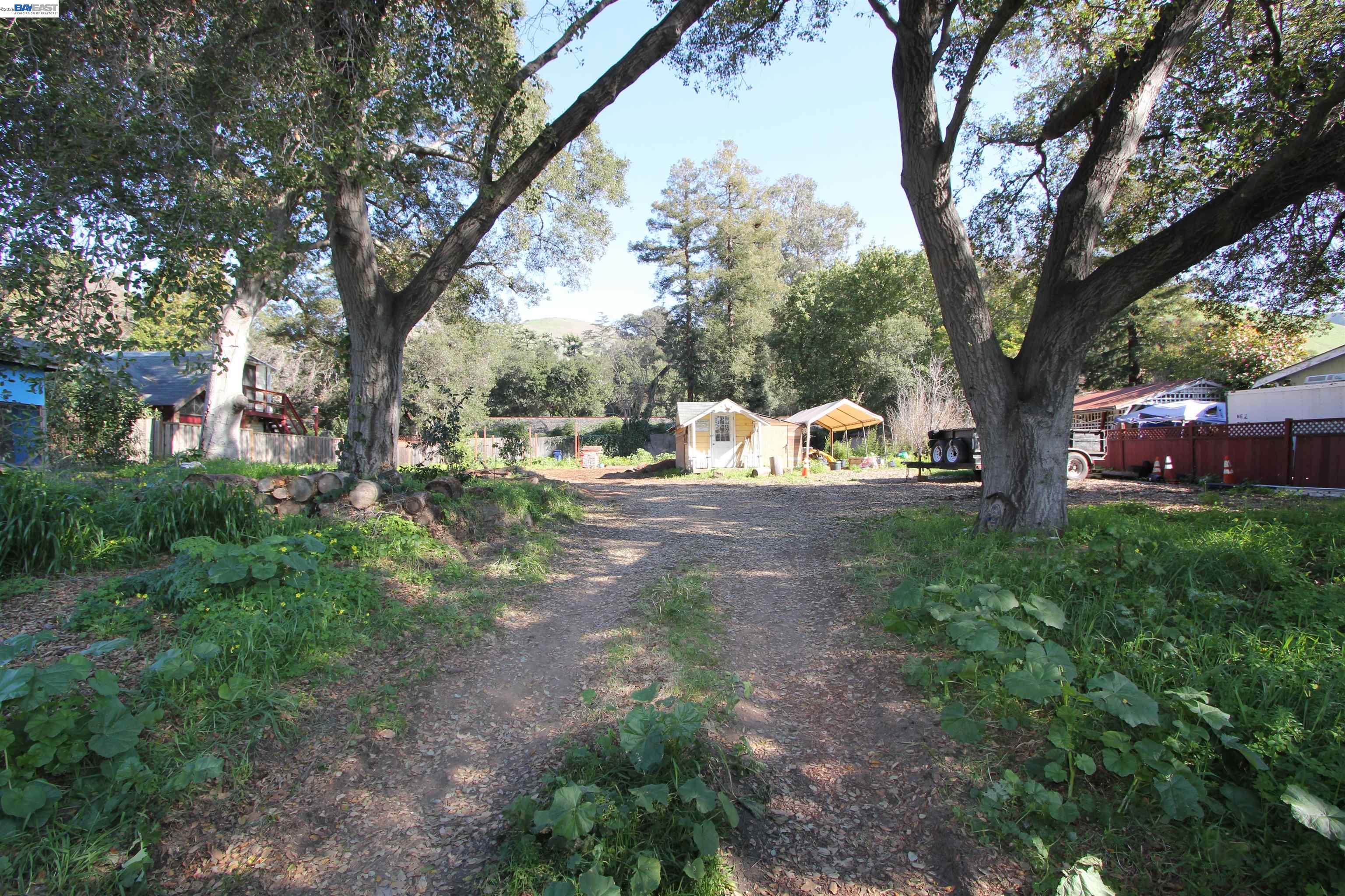 a view of outdoor space with deck and tree
