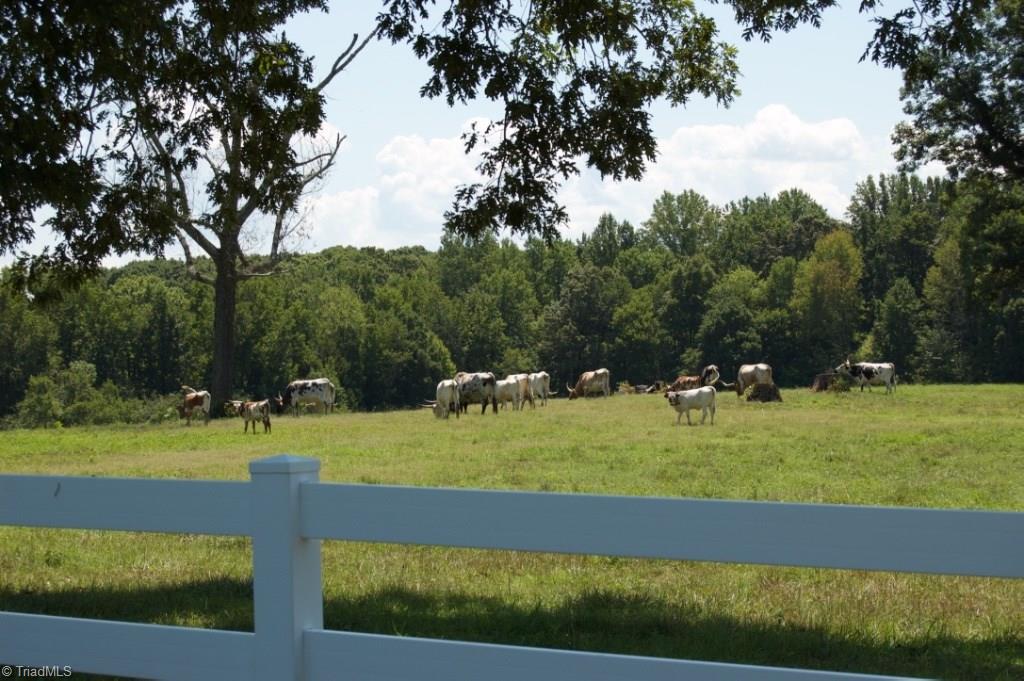 2525 Mack Road Asheboro, NC 27205 - Photo 26 of 28 Gallery Image 26