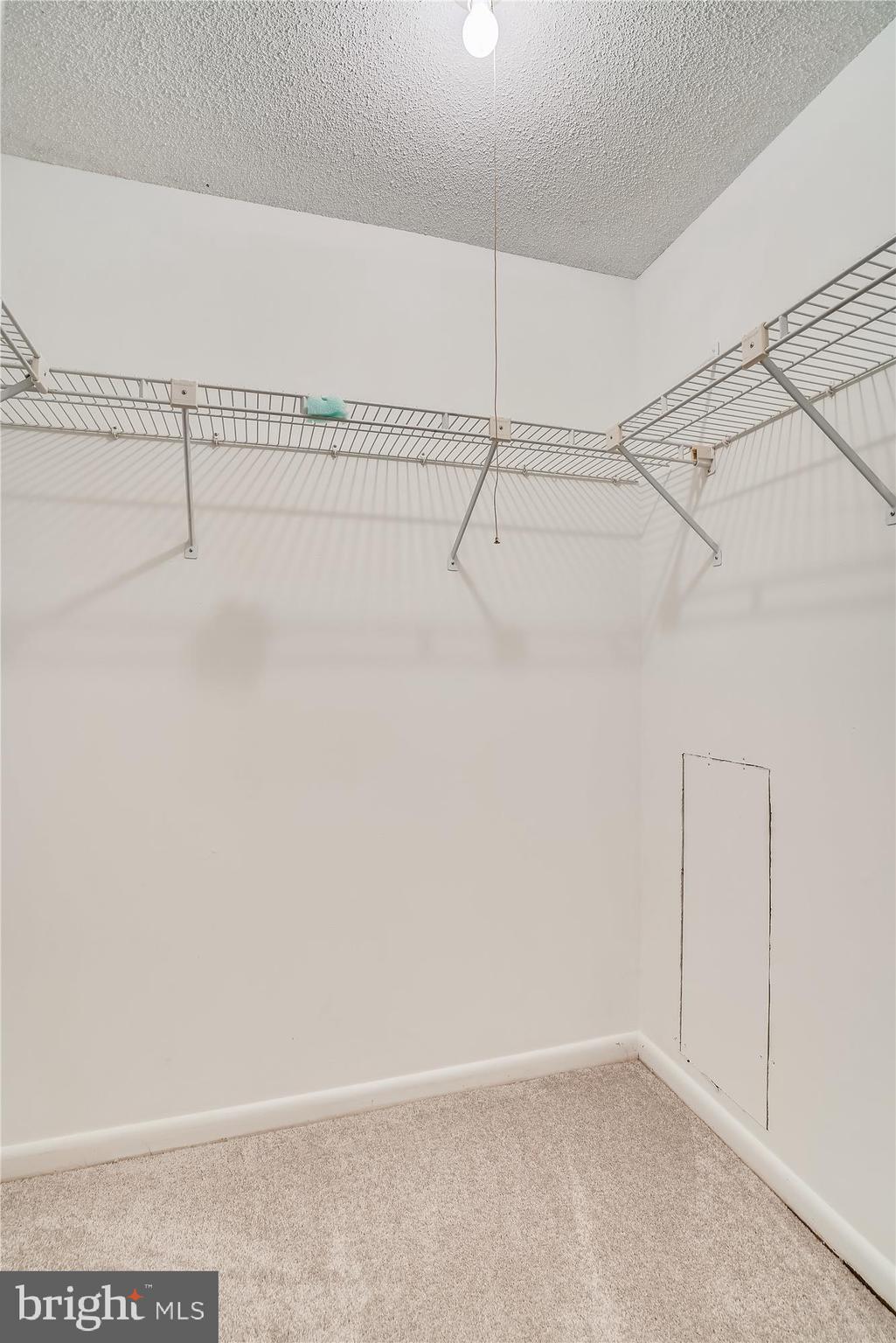 5479 Vantage Point Road, Unit 22 Columbia, MD 21044 - Photo 28 of 36 And a walk in closet!