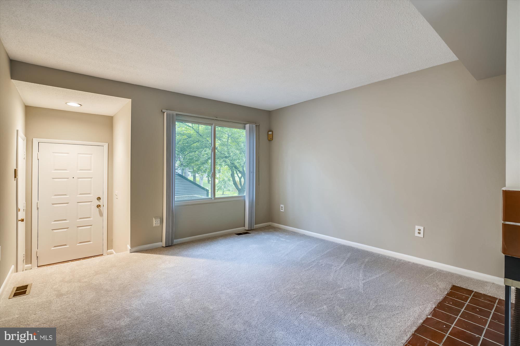 Living room with fireplace