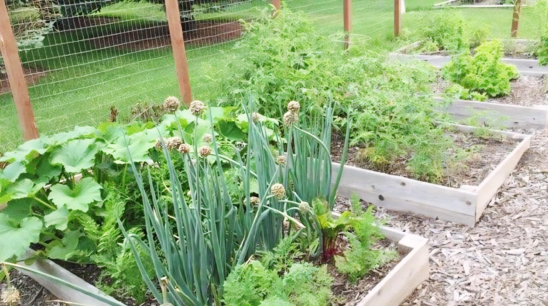 1406 26th Street Southwest Austin, MN 55912 - Photo 20 of 34