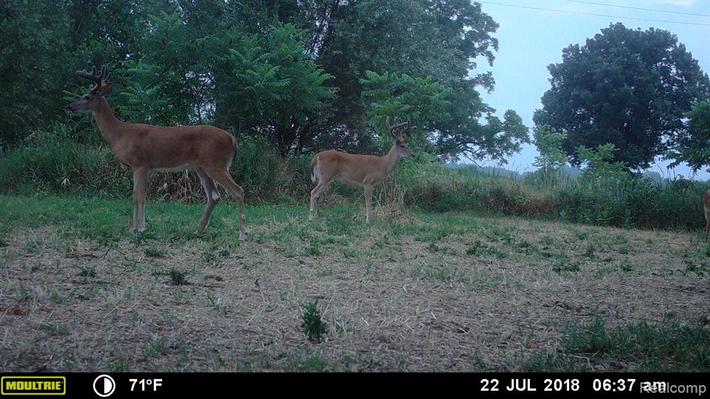 3222 Haslett Road Williamston, MI 48895 - Photo 23 of 25