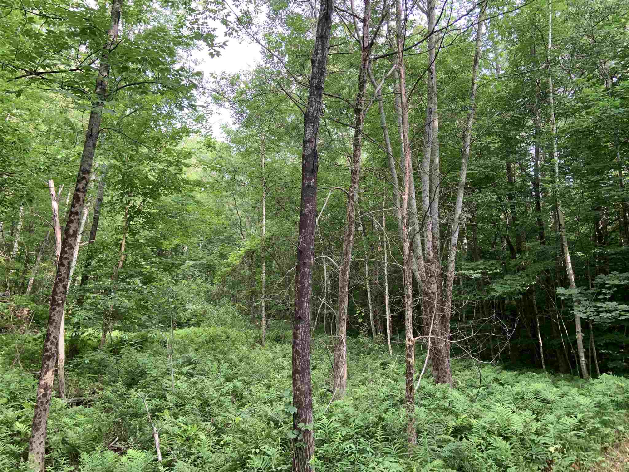 401 Leavitt Hill Road, Unit 8 Cornish, NH 03745 - Photo 1 of 2 Gallery Image 1