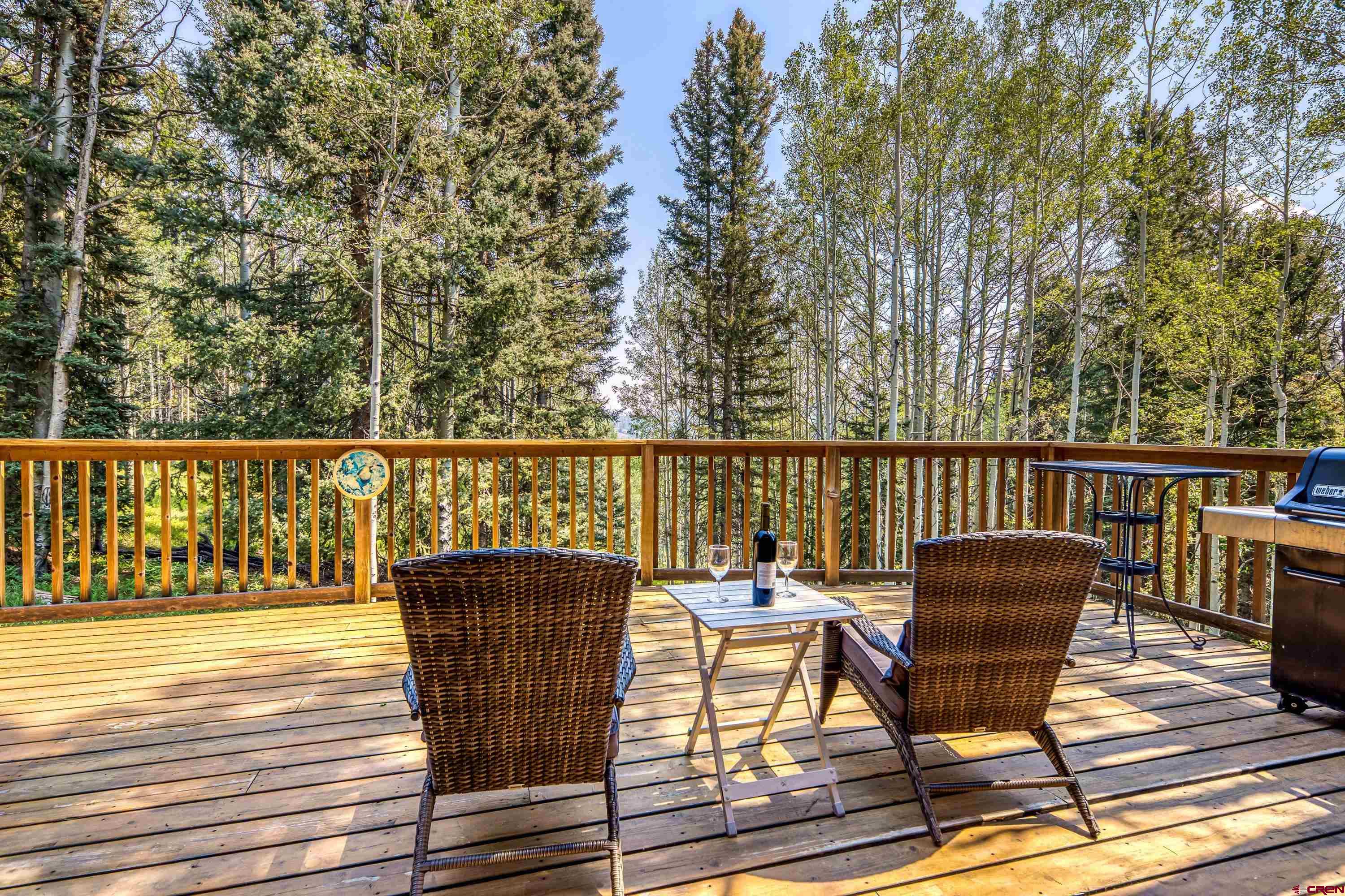 201 Lake Road Cimarron, CO 81220 - Photo 19 of 42