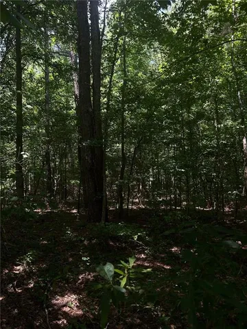 a view of a field of grass and trees