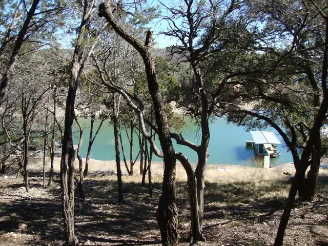 a view of a yard with trees