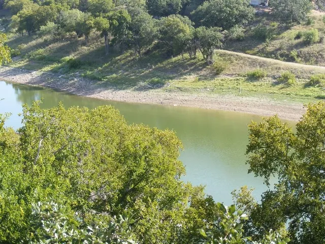 a view of a lake from a yard